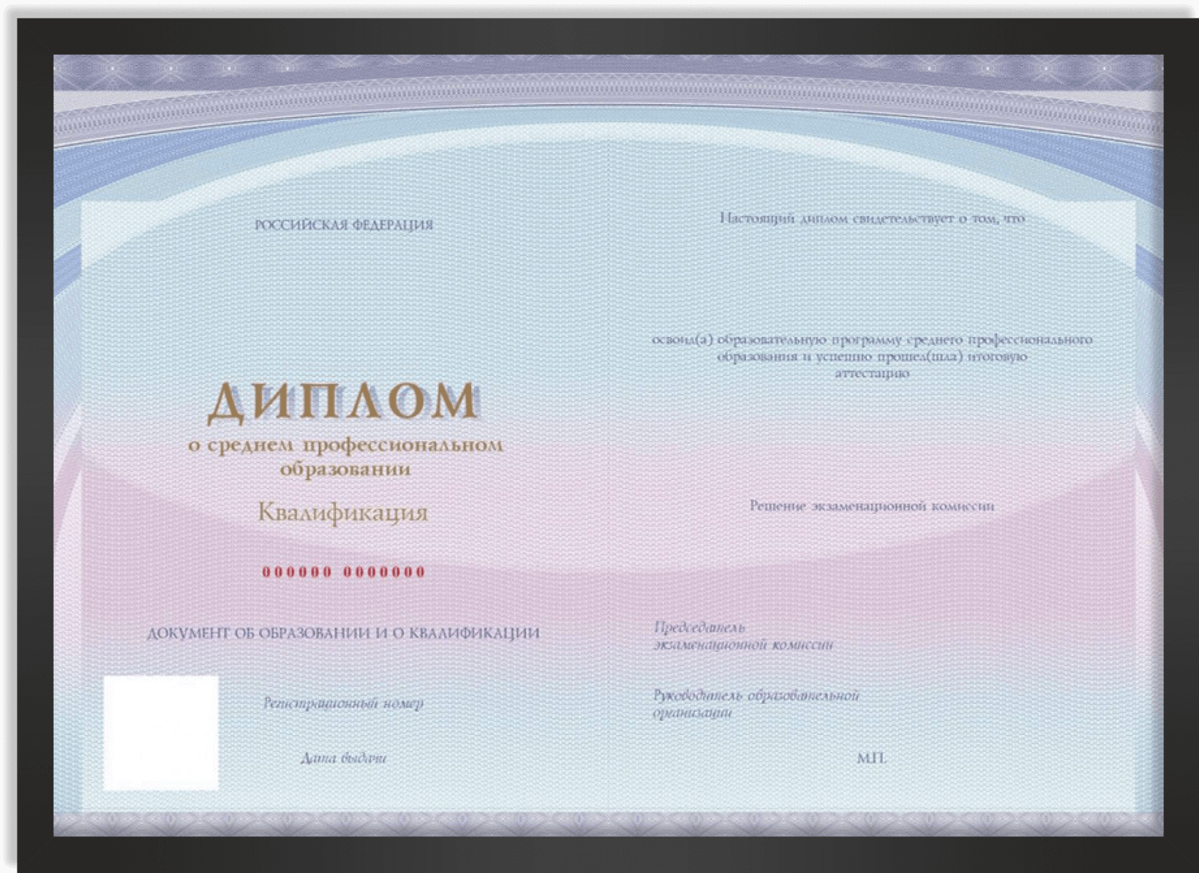 Образец диплома о среднем профессиональном образовании